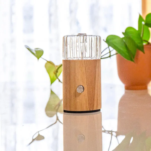 NOVA Ezy Eco-Friendly Waterless Diffuser | Portable Option Available | No Plastics Pure Essential Oil Diffusing